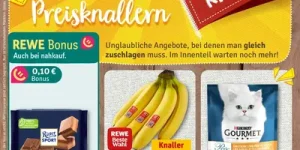 REWE Prospekt 20.04 - 26.04