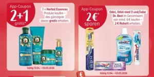 ROSSMANN Prospekt 13.04 - 03.05